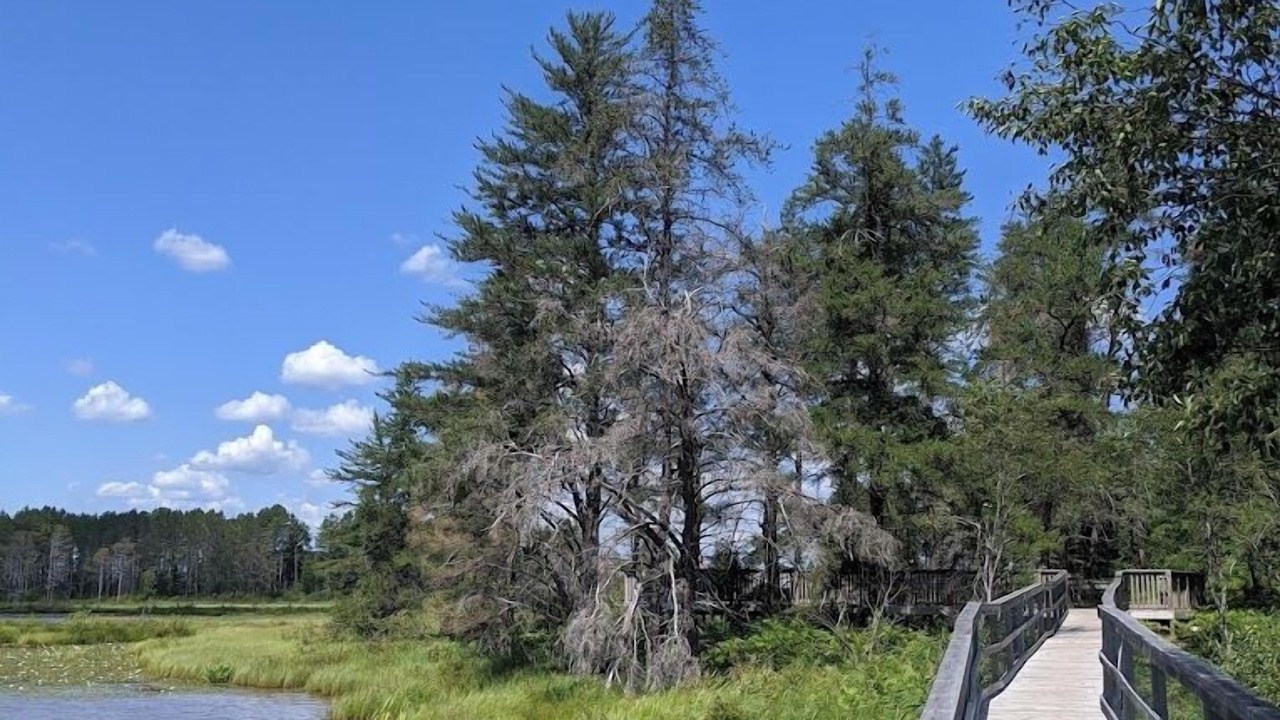 Photo of Outdoor in Gulliver