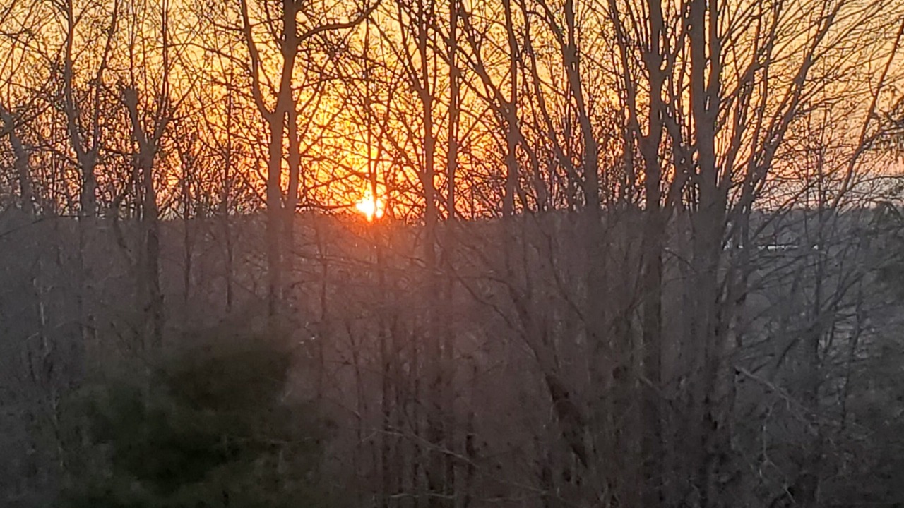 Photo of Others in Summit