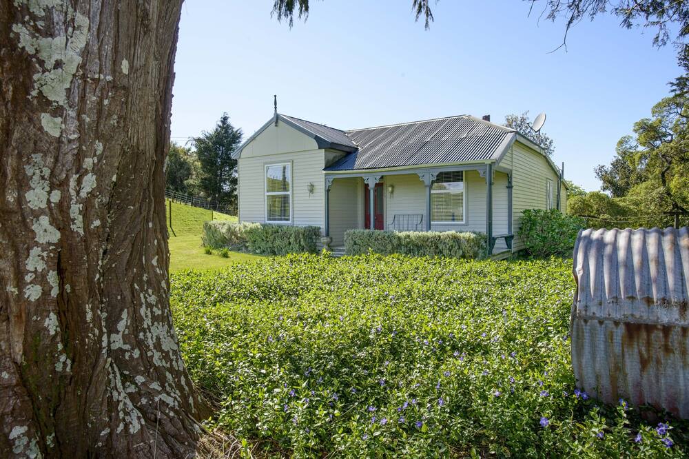 Photo of Others in Mahia