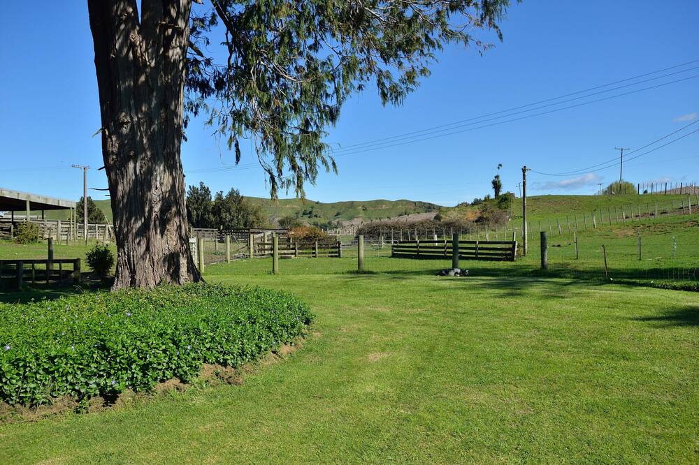 Photo of Outdoor in Mahia