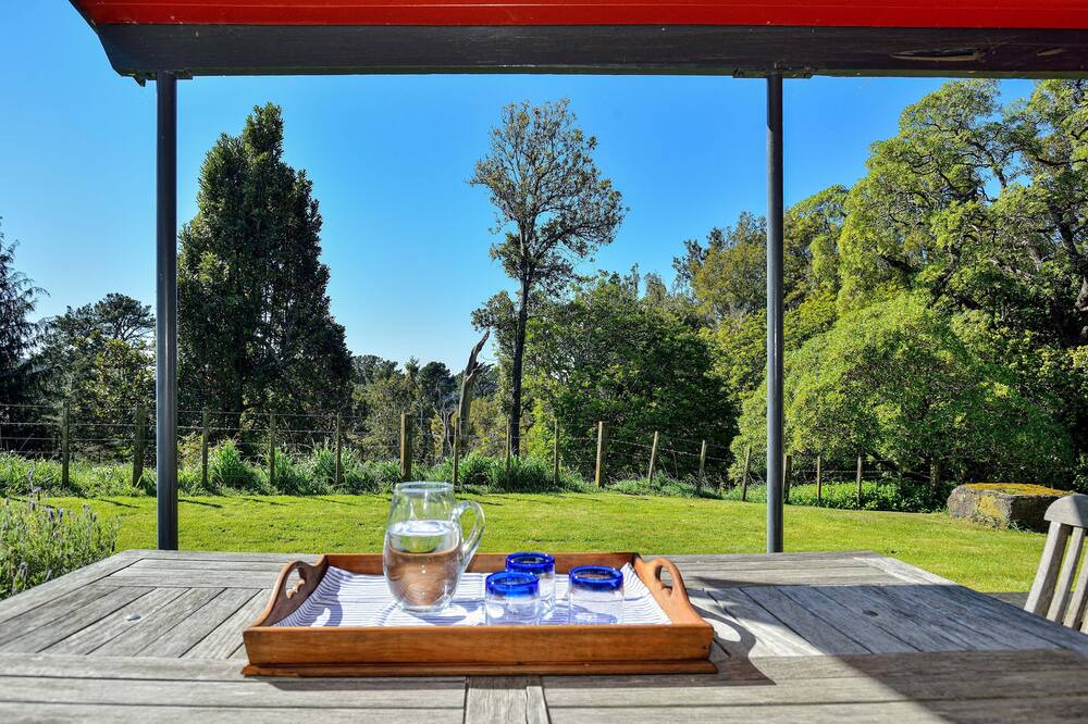 Photo of Patio Balcony in Mahia