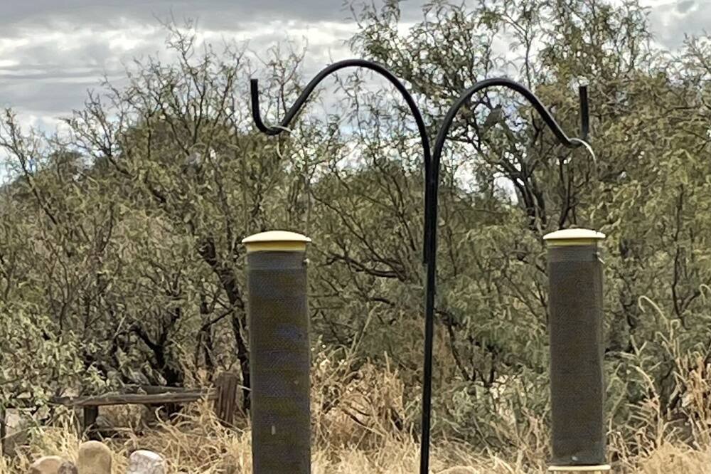 Photo of Outdoor in Pearce