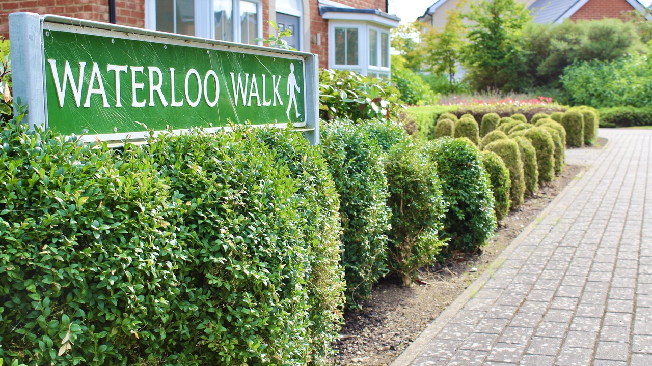 Photo of Outdoor in East Malling and Larkfield