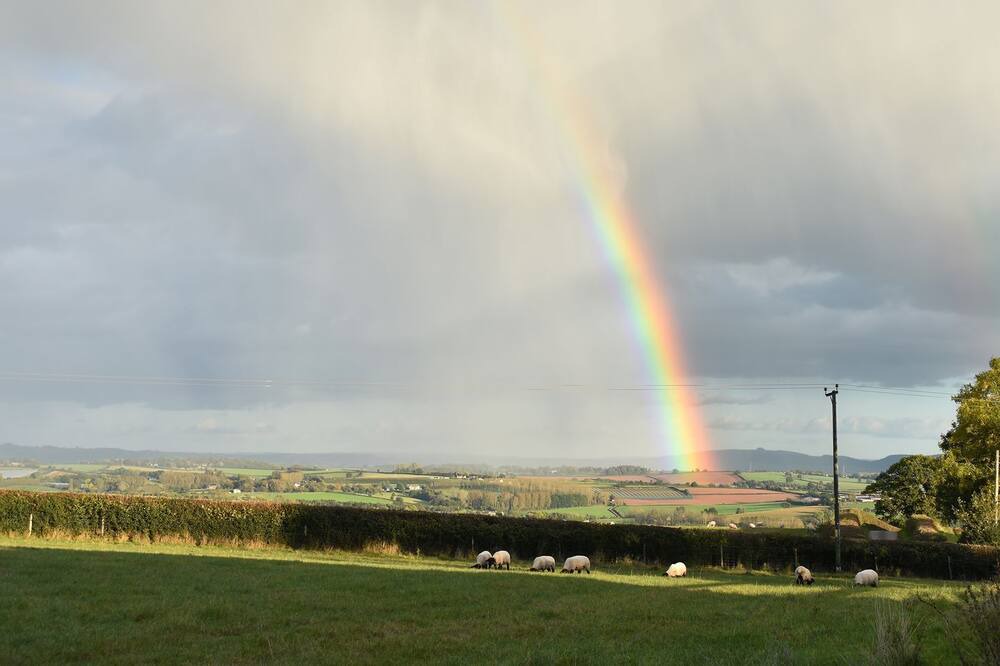 Photo of Others in Orcop