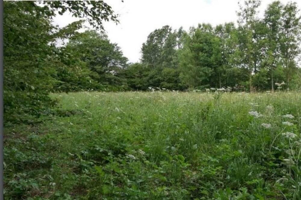 Photo of Outdoor in Le Pin