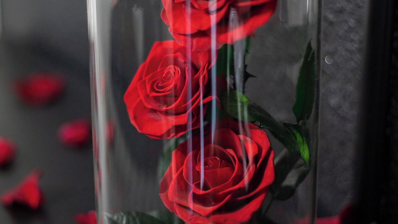 Photo of Others in Lalande-Grand Selve