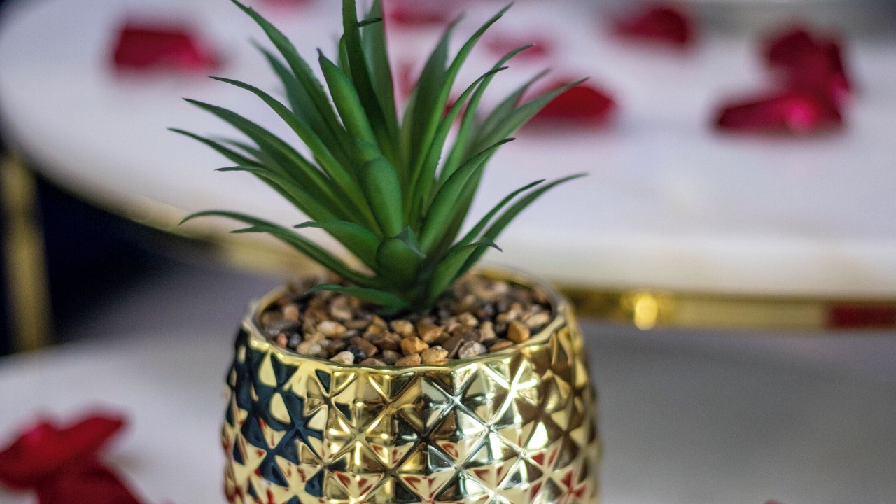 Photo of Others in Lalande-Grand Selve