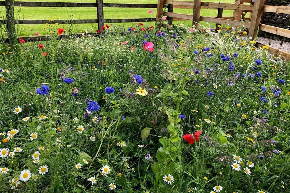 Photo of Outdoor in Linton-in-Craven