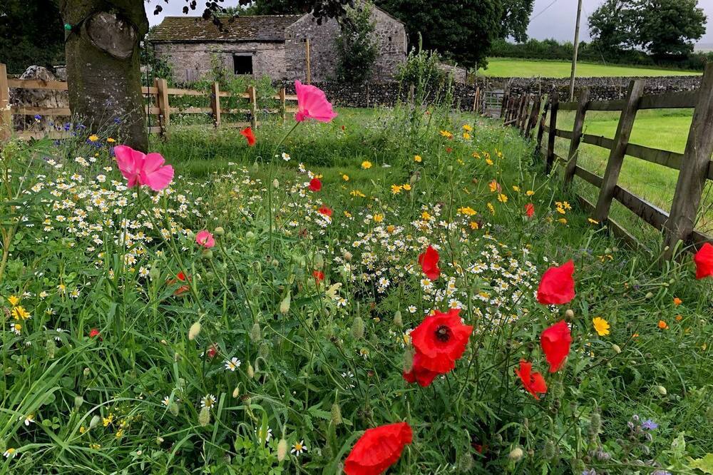 Photo of Outdoor in Linton-in-Craven