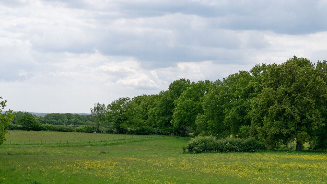 Photo of Others in Abbess Roding