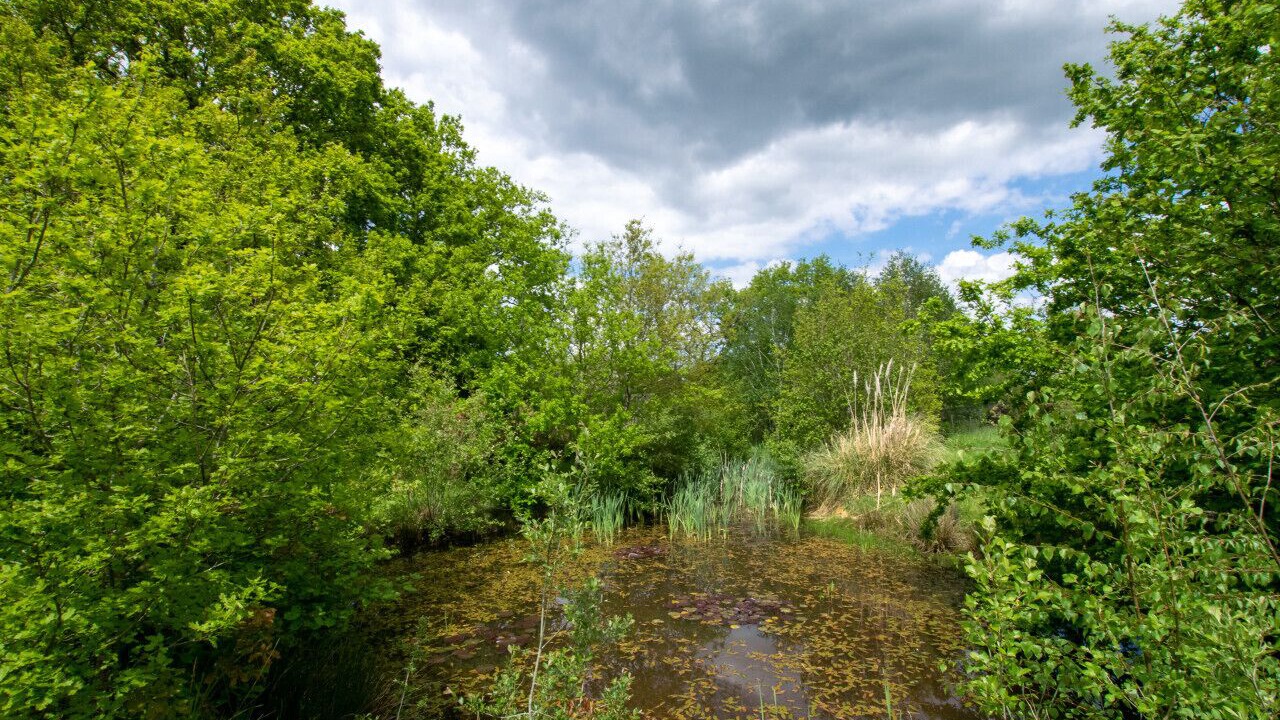 Photo of Others in Abbess Roding