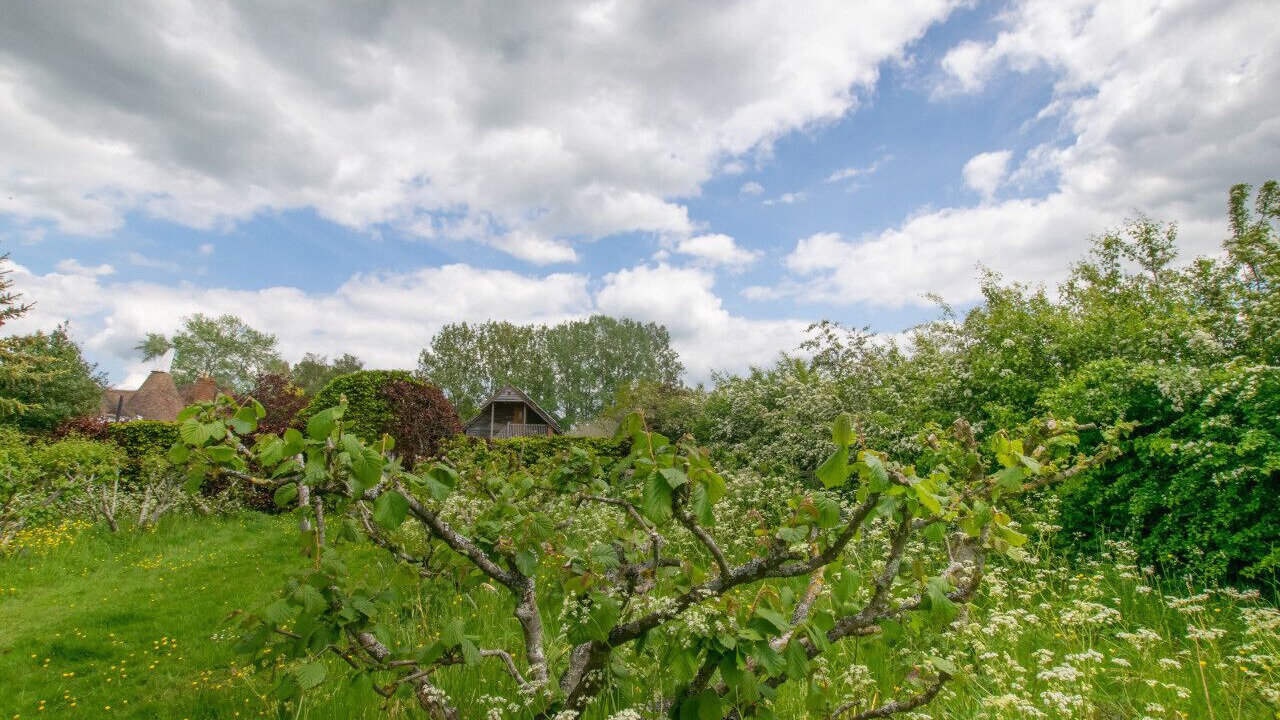 Photo of Others in Abbess Roding