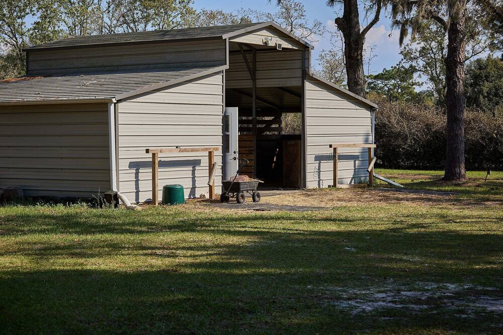 Photo of Others in Homosassa
