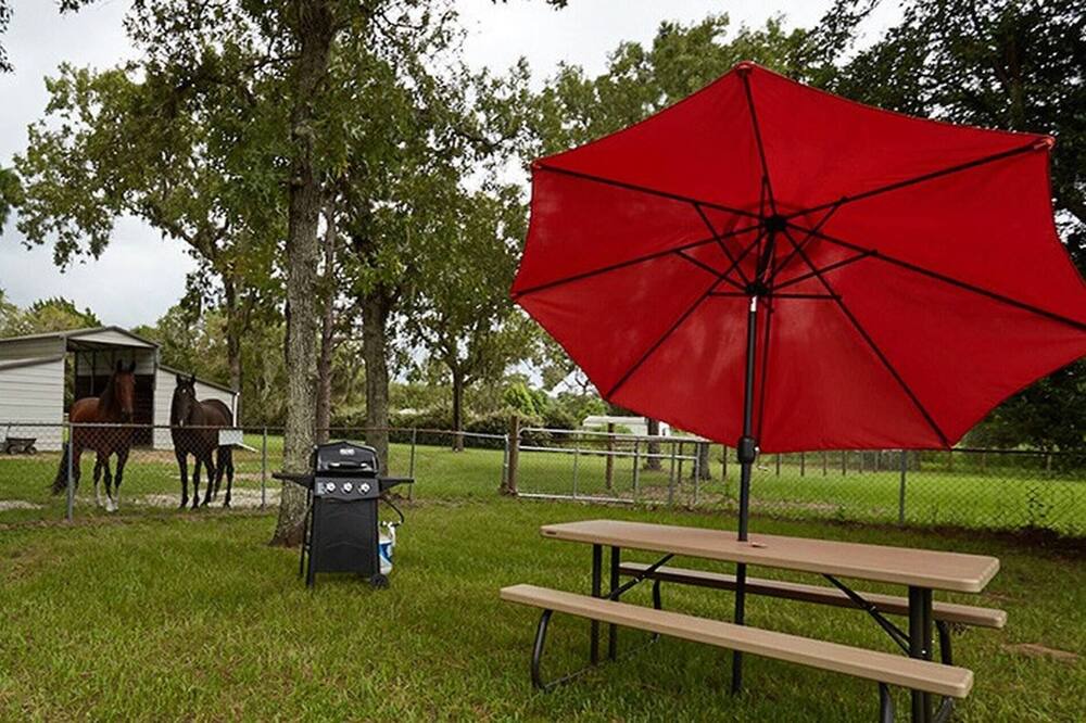 Photo of Outdoor in Homosassa