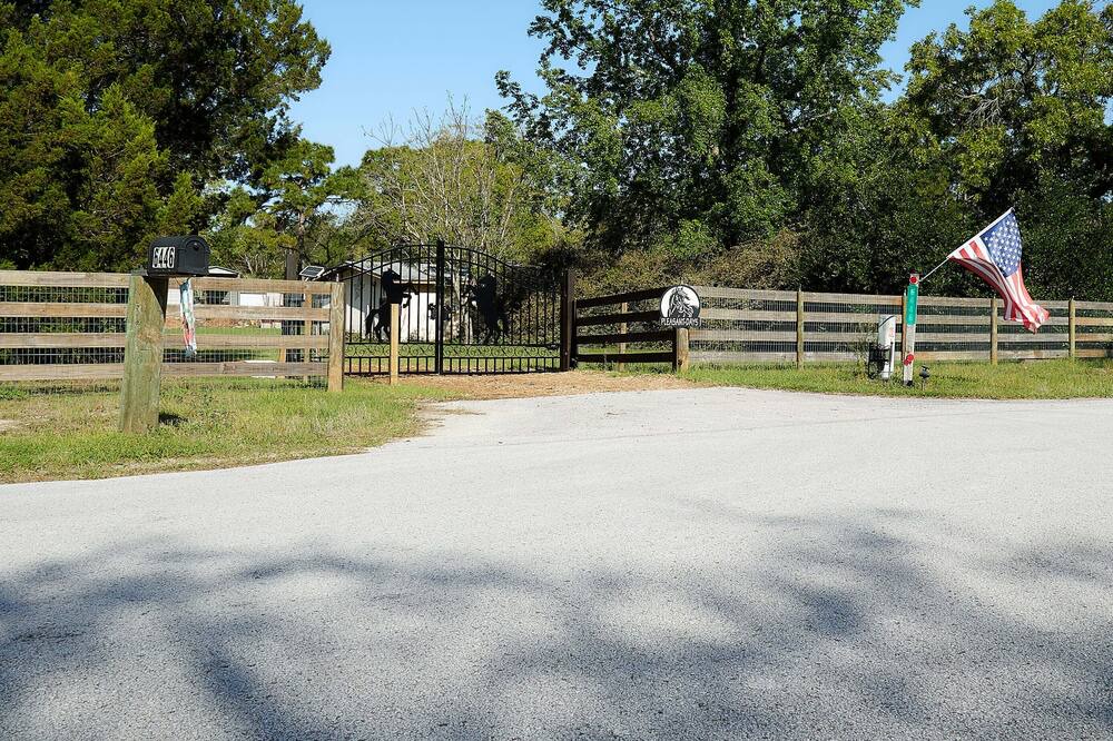 Photo of Outdoor in Homosassa