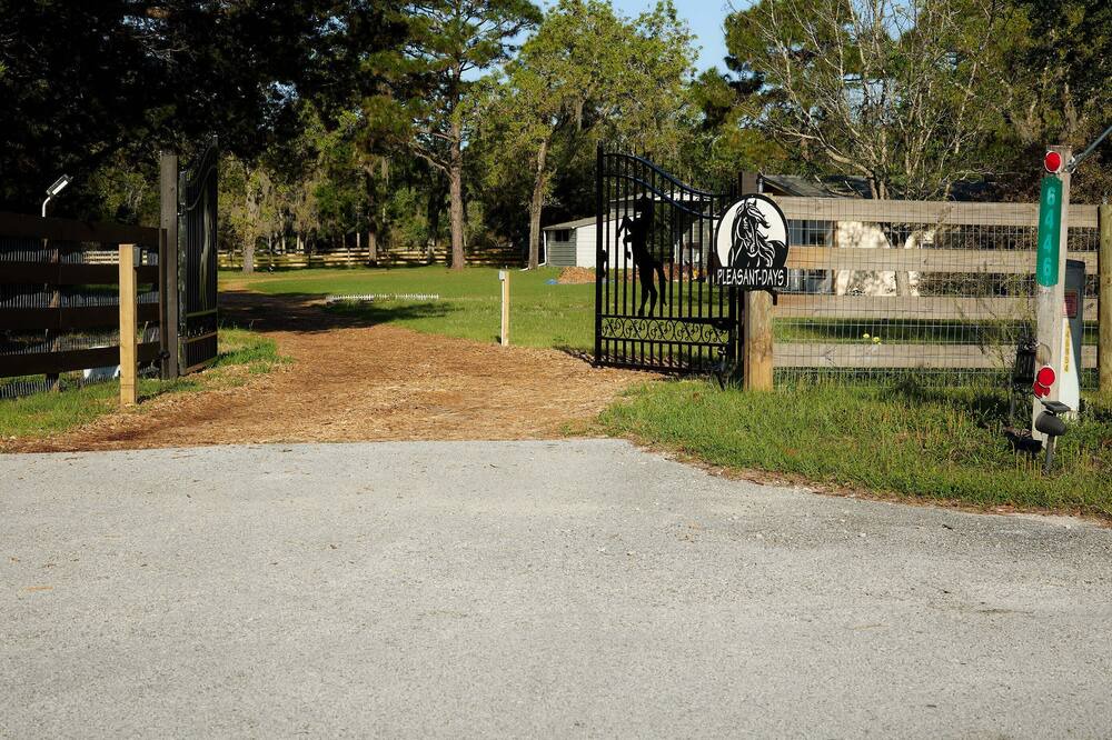 Photo of Others in Homosassa