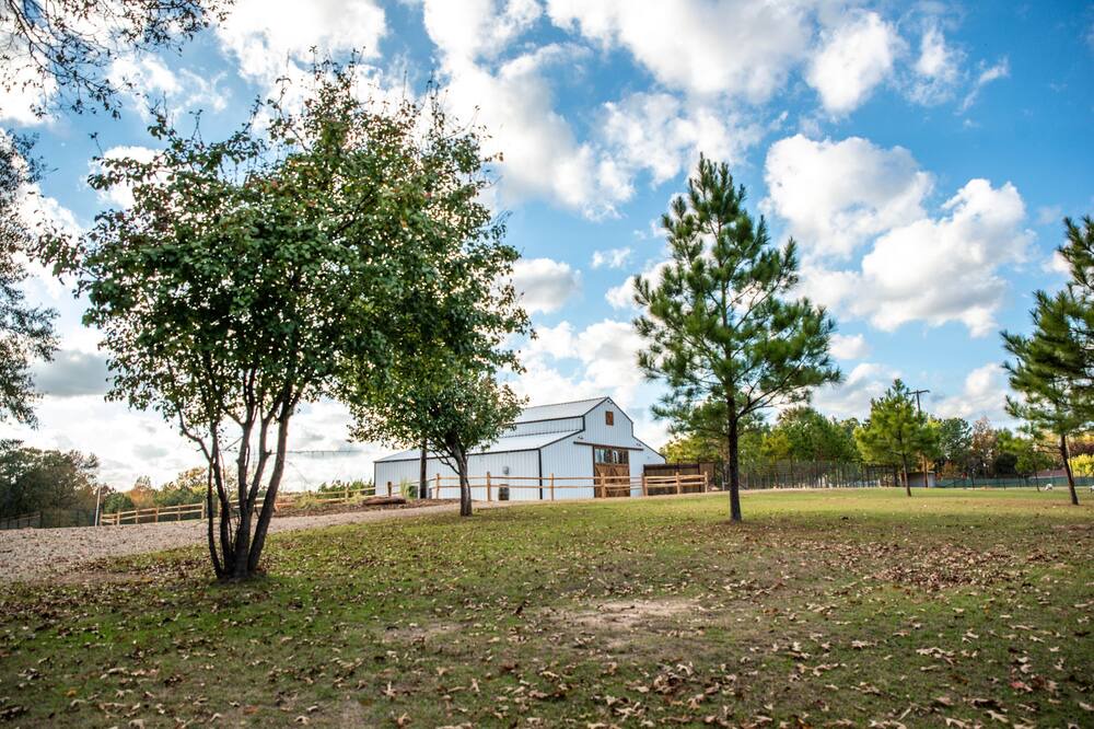 Photo of Outdoor in Gilmer