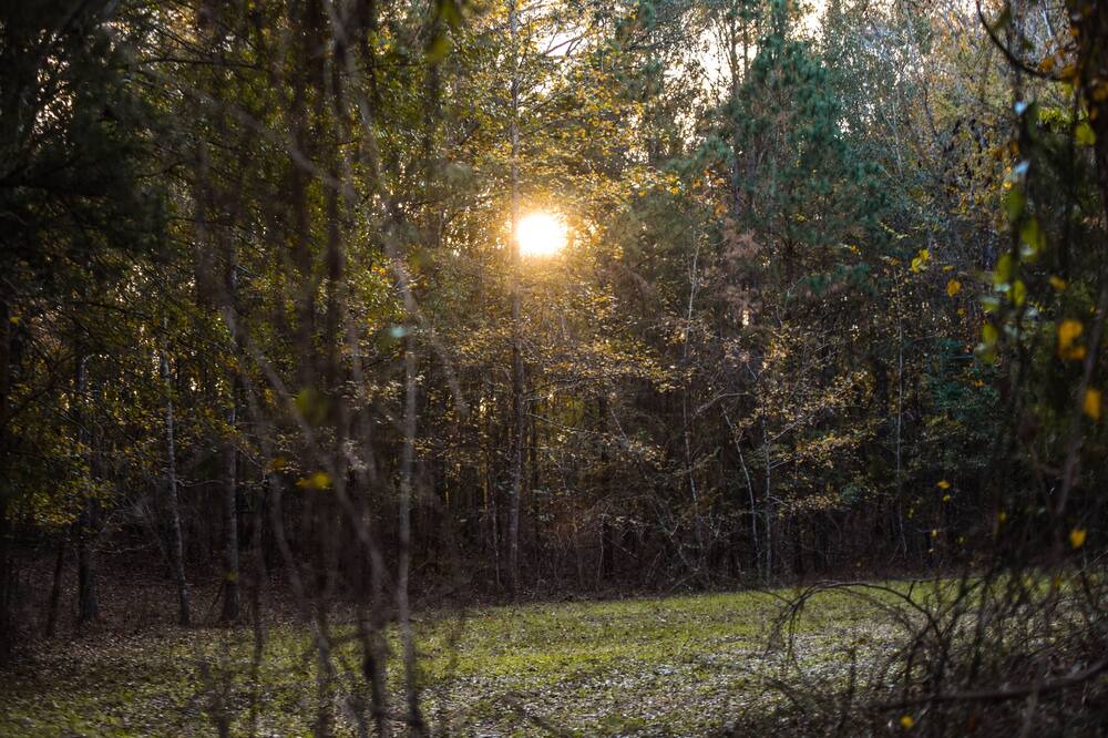 Photo of Outdoor in Gilmer