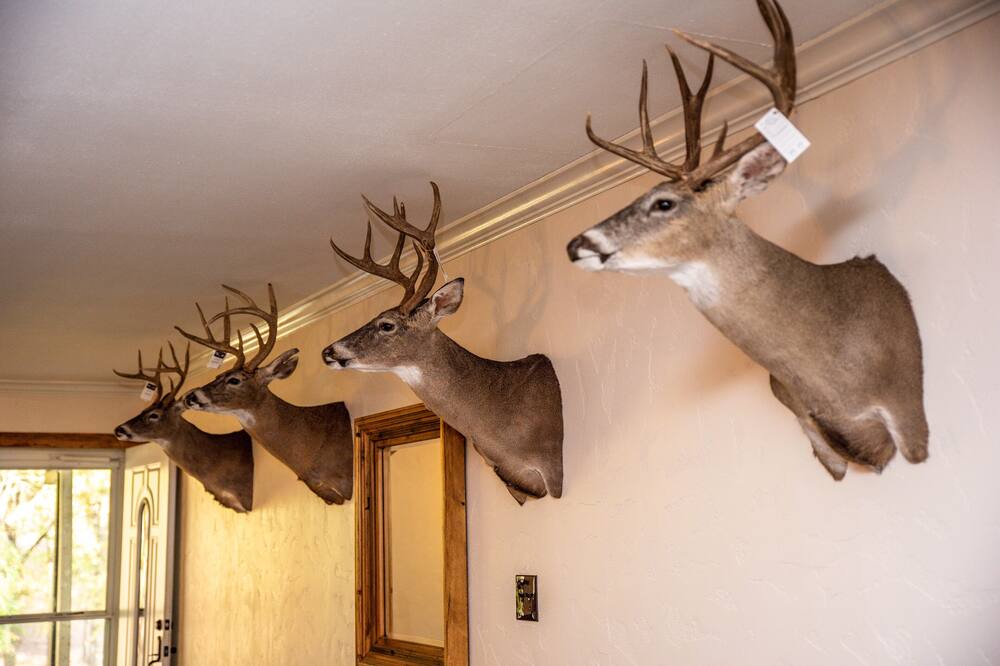 Photo of Others in Gilmer