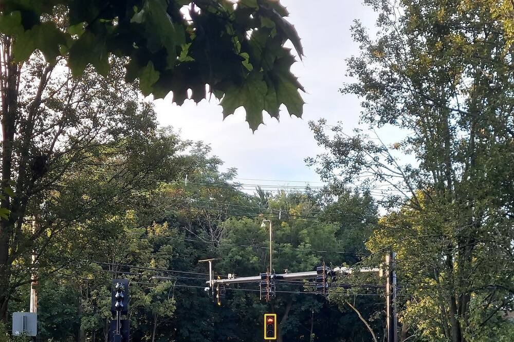 Photo of Others in Arlington