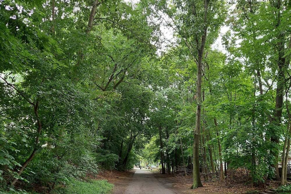 Photo of Outdoor in Arlington