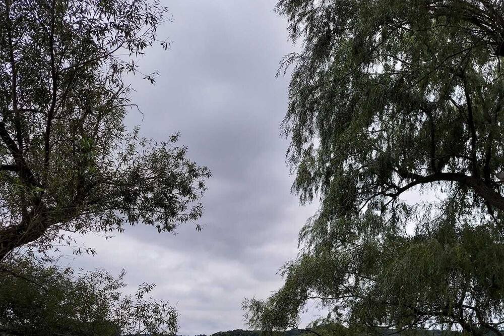 Photo of Outdoor in Arlington