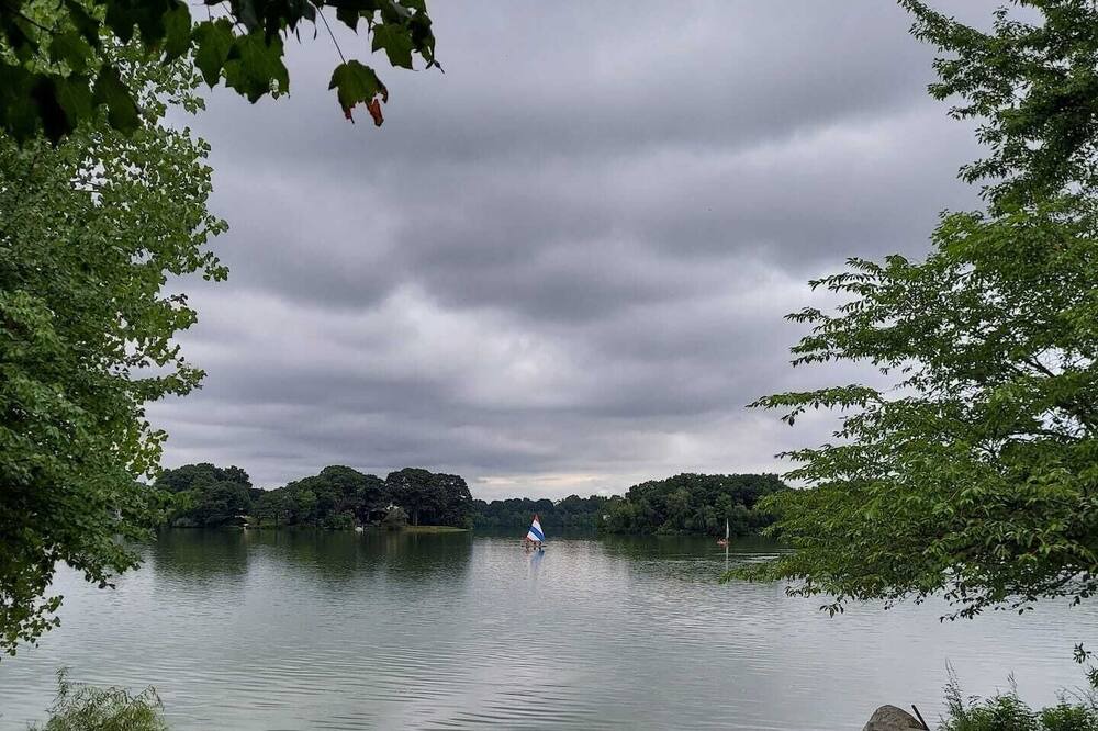 Photo of Others in Arlington