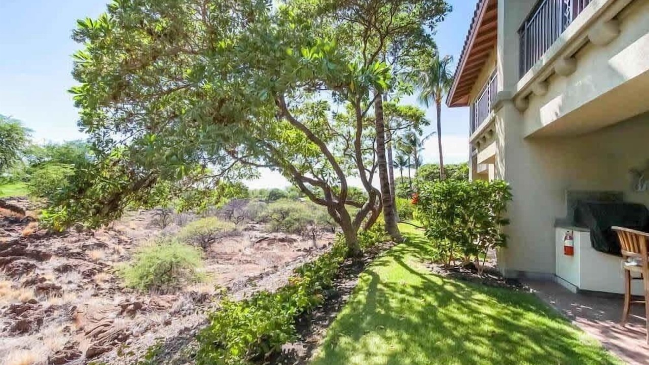 Photo of Outdoor in Kamuela