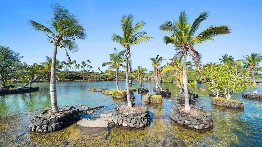 Photo of Others in Kamuela