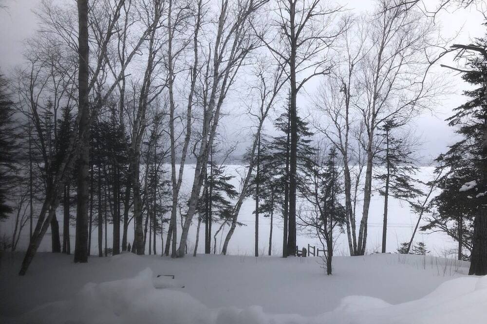 Photo of Others in Rangeley Plantation