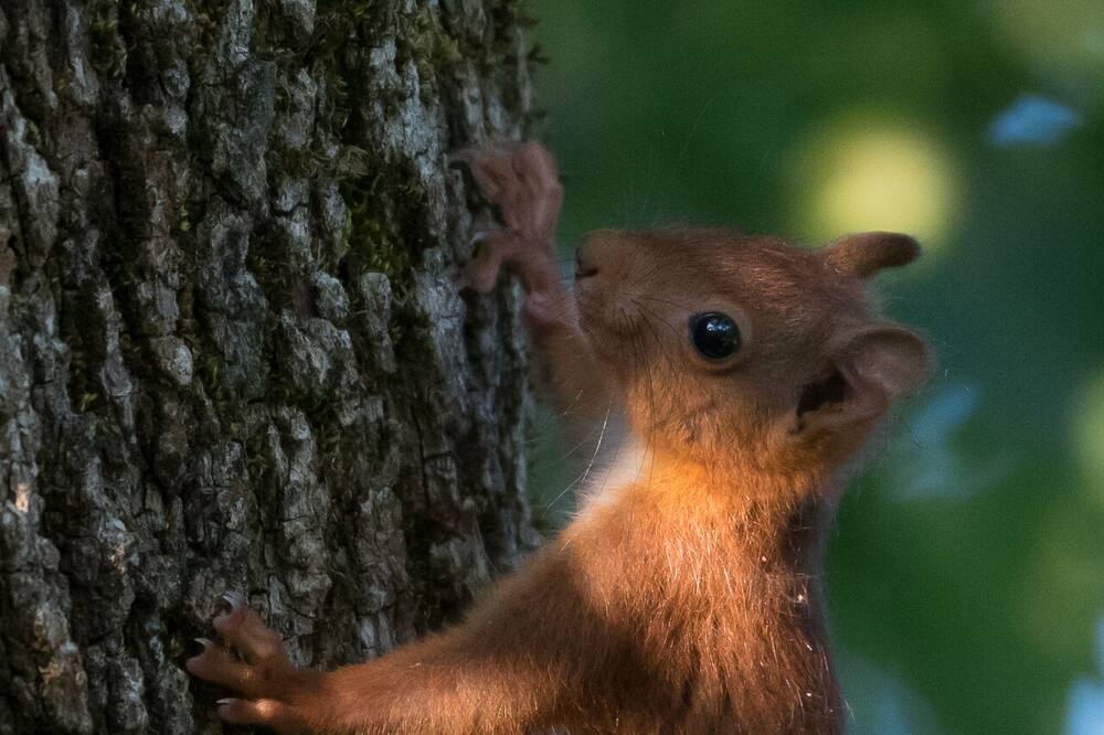 Photo of Outdoor in Groffliers