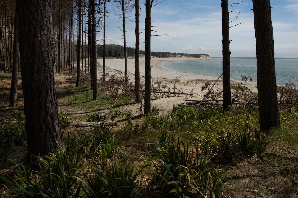 Photo of Others in Groffliers