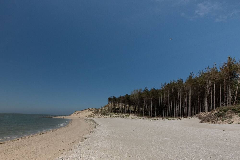 Photo of Others in Groffliers