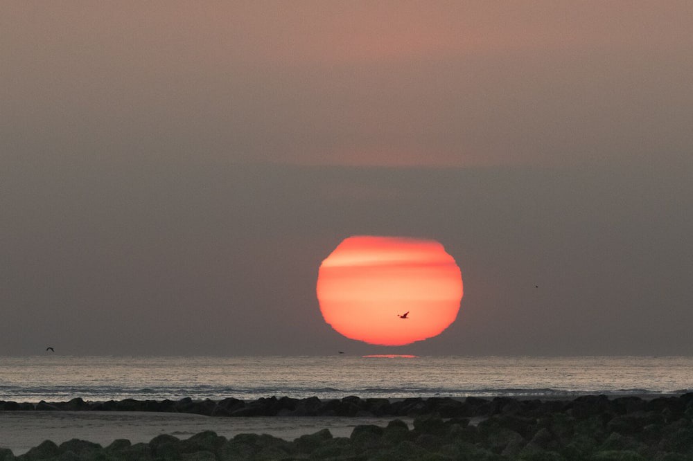 Photo of Others in Groffliers