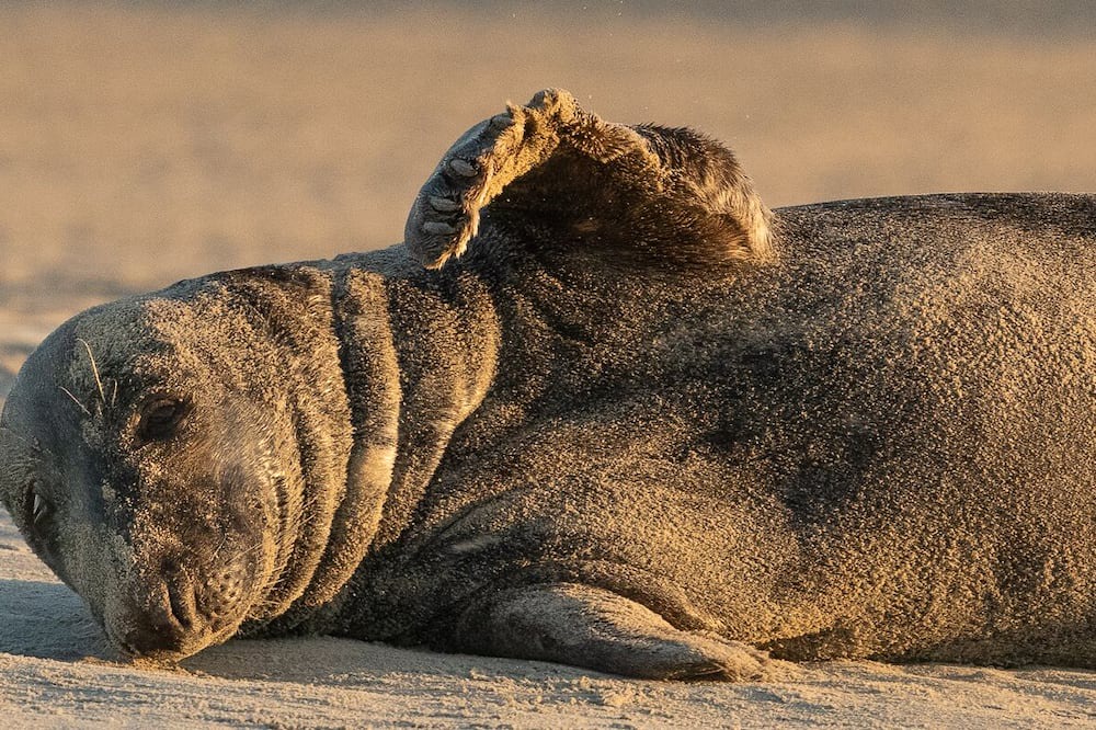 Photo of Others in Groffliers