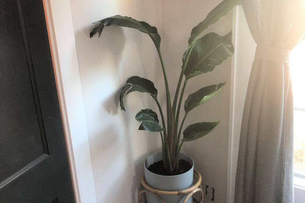 Photo of Bedroom in Carlsbad