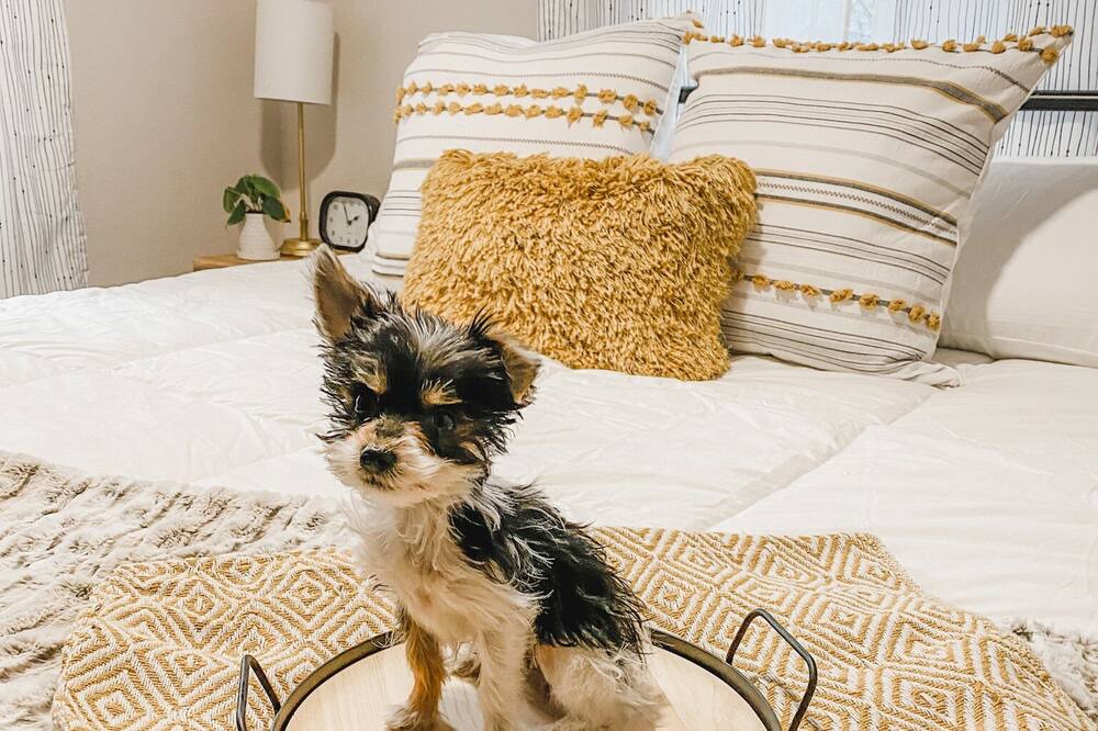 Photo of Bedroom in Carlsbad