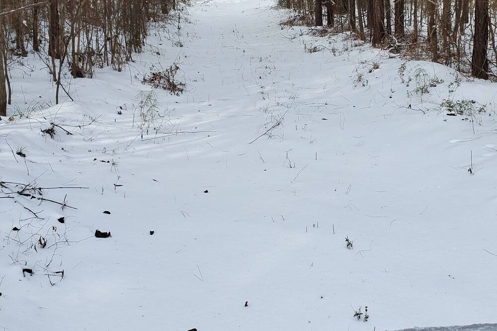 Photo of Others in Coldspring