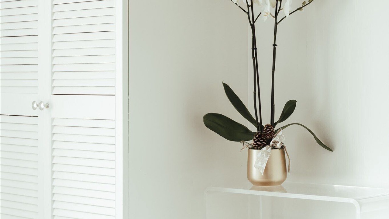 Photo of Others in Painswick