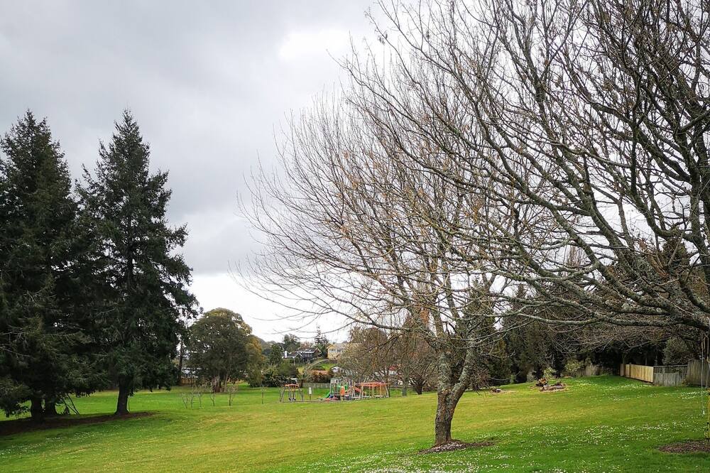 Photo of Others in Kawaha Point