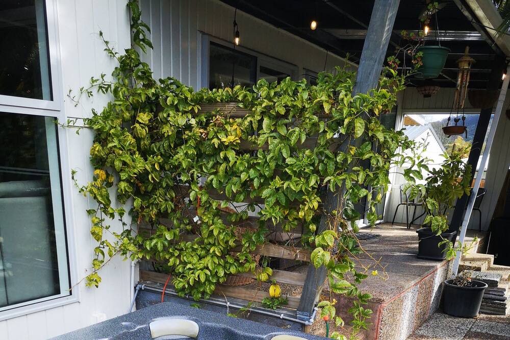 Photo of Others in Kawaha Point