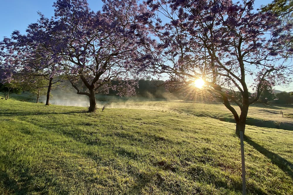 Photo of Outdoor in Coolabine