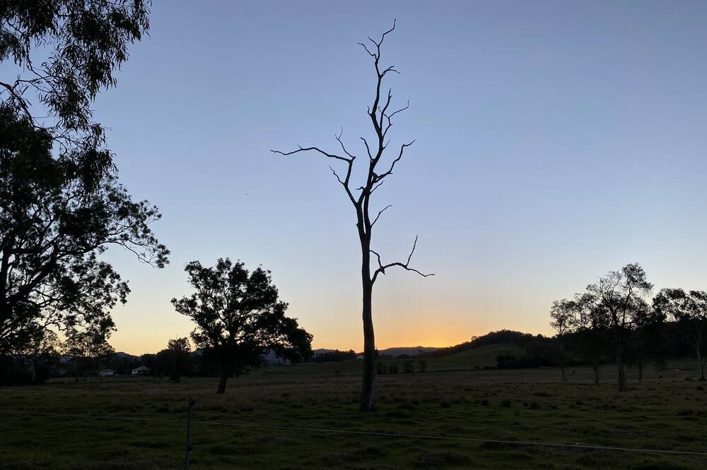 Photo of Outdoor in Coolabine