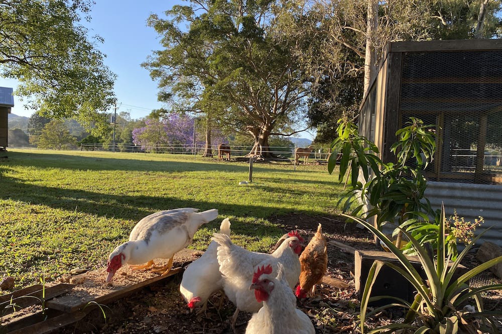 Photo of Outdoor in Coolabine