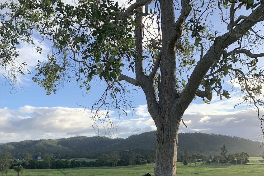 Photo of Outdoor in Coolabine