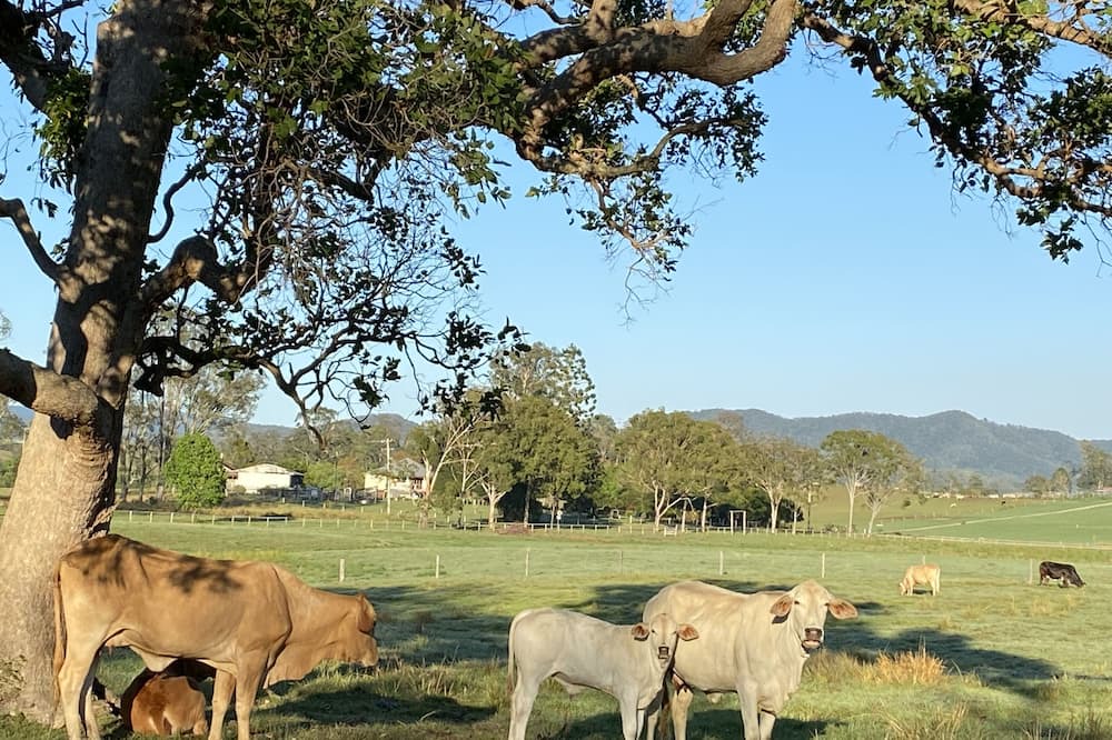 Photo of Outdoor in Coolabine