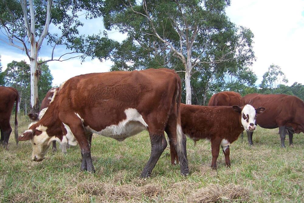 Photo of Outdoor in Boolambayte