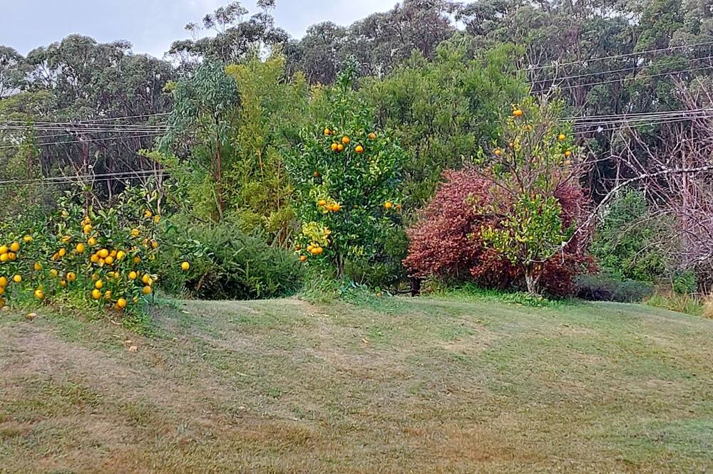 Photo of Outdoor in Boolambayte