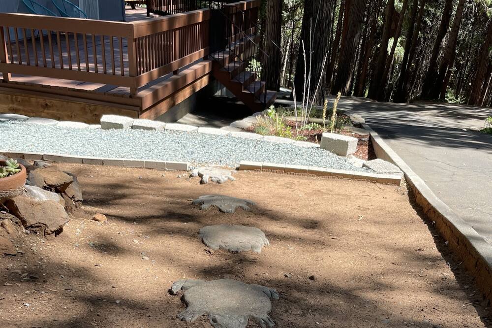 Photo of Outdoor in Pollock Pines