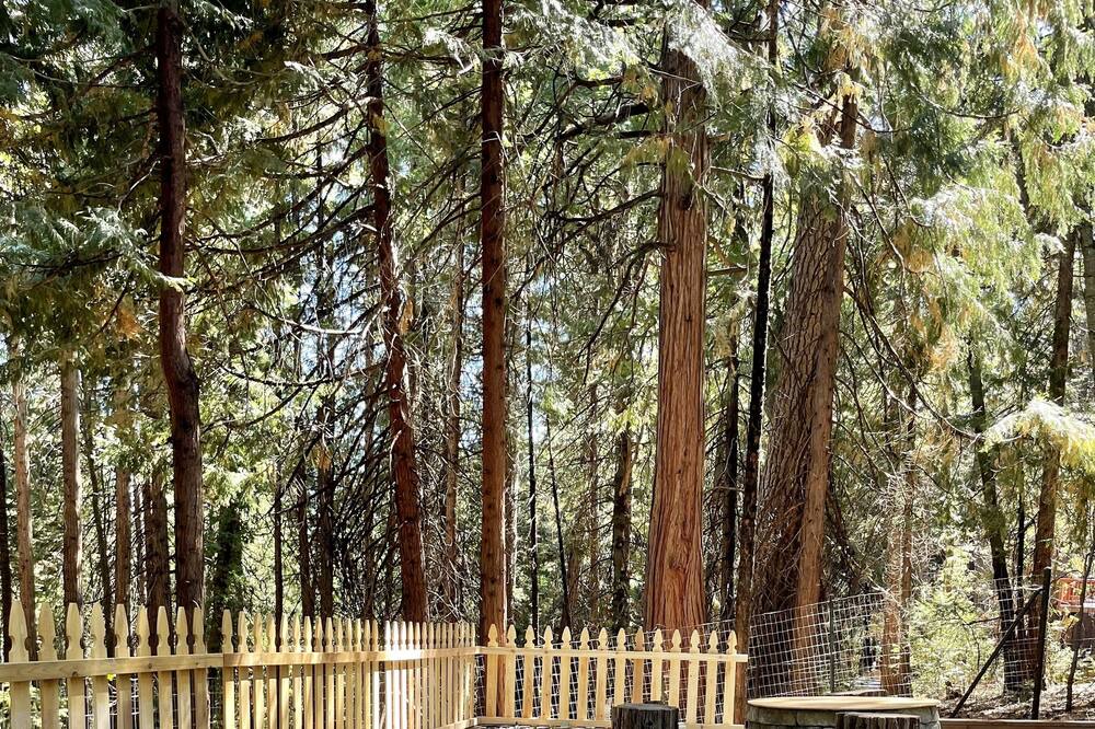 Photo of Others in Pollock Pines